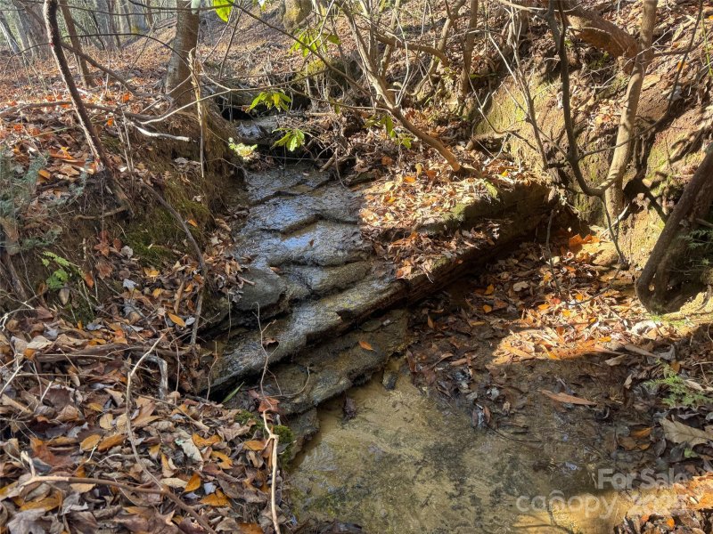 Blackberry Cove, Brevard community