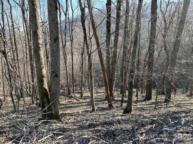 Lot 20 Trillium Lane