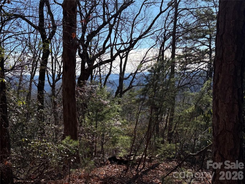 Tbd Bobcat Mountain Road