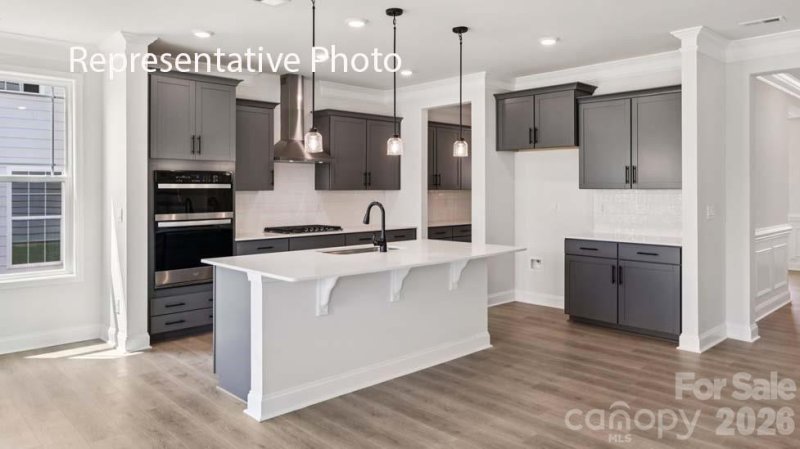 1007 Tundra Swan Drive