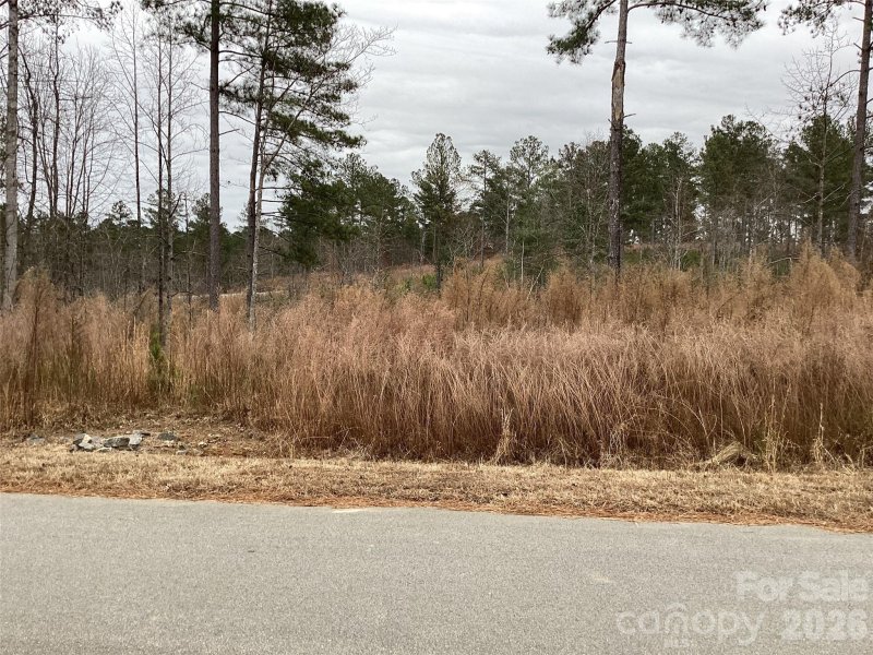 2146 Pikes Peak Ridge