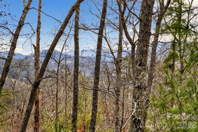 149 Turkey Trot Trail