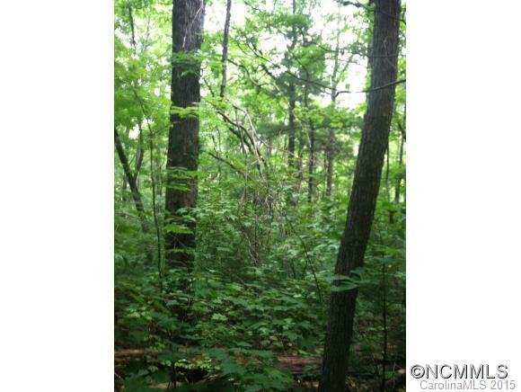 Property image 2 at Tbd Hawk Ridge 2 77Acre, Asheville, NC 28804