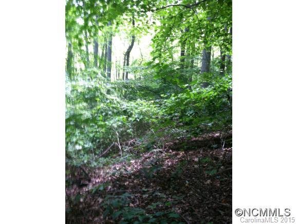 Property image 4 at Tbd Hawk Ridge 2 77Acre, Asheville, NC 28804