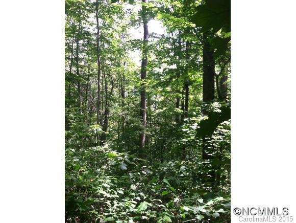 Property image 5 at Tbd Hawk Ridge 2 77Acre, Asheville, NC 28804