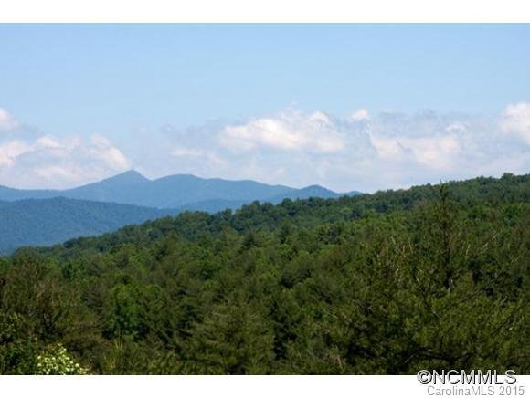 Property image 3 at 62 East Falls View Drive, Pisgah Forest, NC 28768