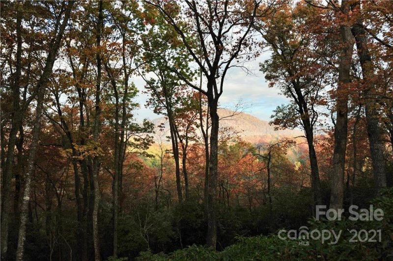 Property image 3 at 105 Misty Valley Parkway, Arden, NC 28704