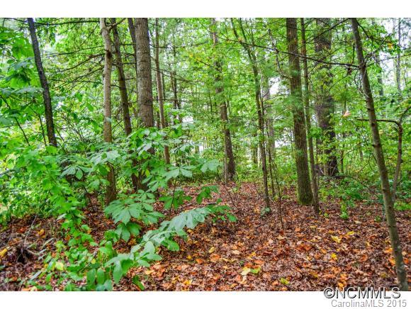 Property image 4 at Lot 3 Dunleer, Hendersonville, NC 28791