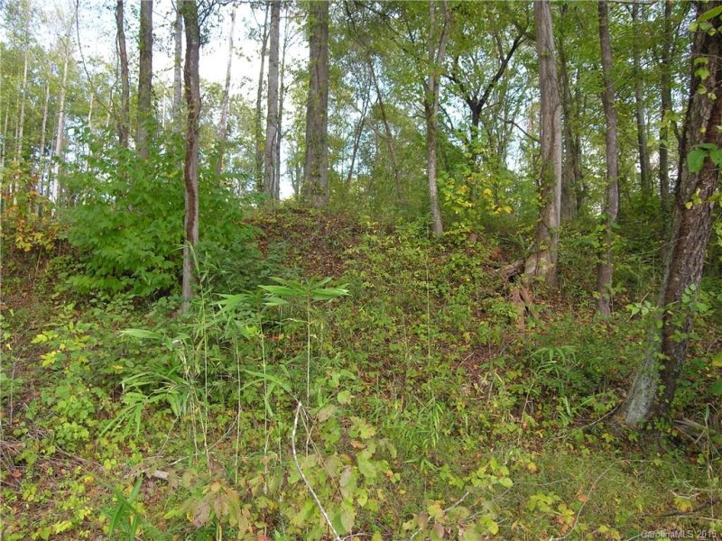 Property image 5 at 234 Bluewater Drive, Statesville, NC 26677