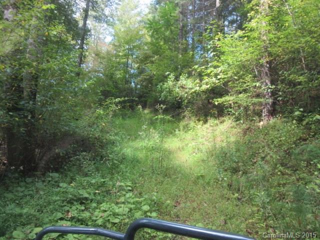 Property image 5 at 0 Big Rock Drive, Bakersville, NC 28705