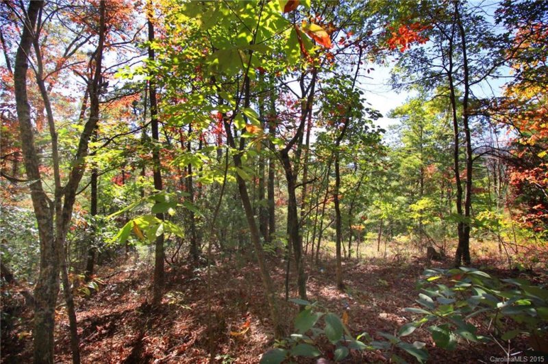 Lot 83 Oak Laurel Road