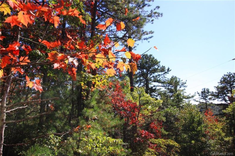 Property image 2 at Lot 83 Oak Laurel Road, Brevard, NC 28712