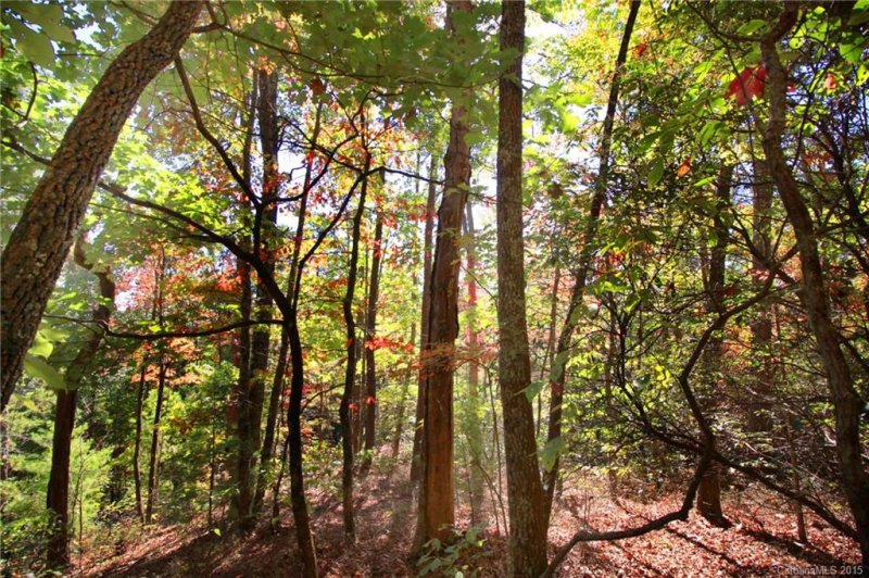 Property image 3 at Lot 83 Oak Laurel Road, Brevard, NC 28712