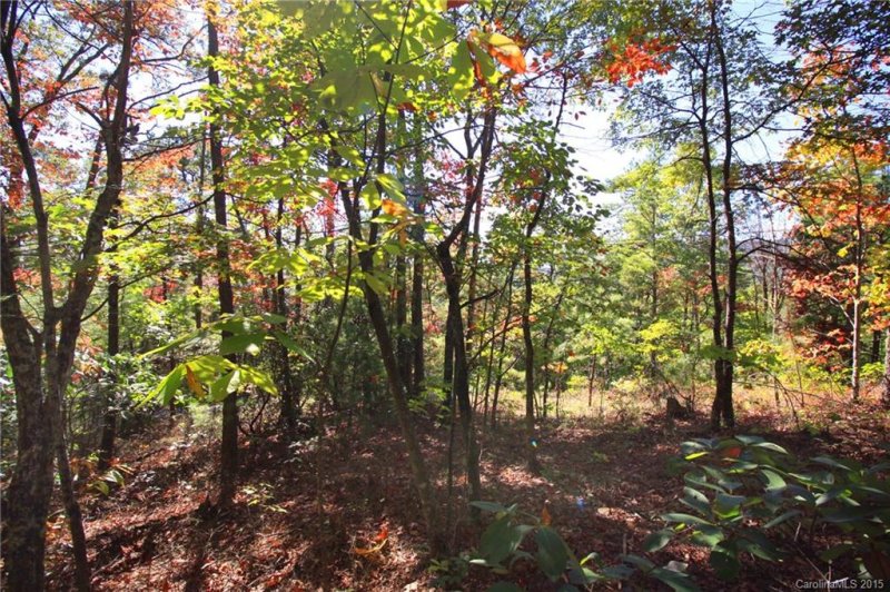 Property image 4 at Lot 83 Oak Laurel Road, Brevard, NC 28712