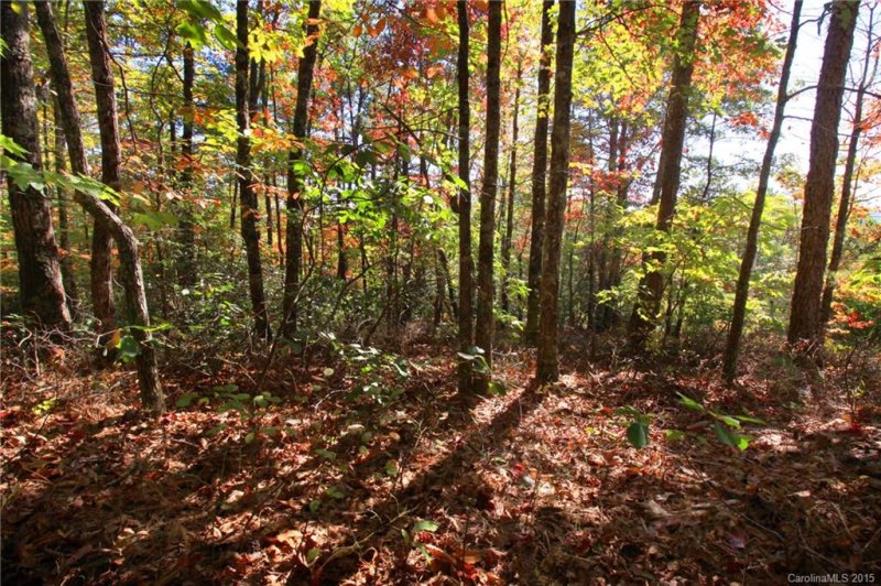 Property image 5 at Lot 83 Oak Laurel Road, Brevard, NC 28712