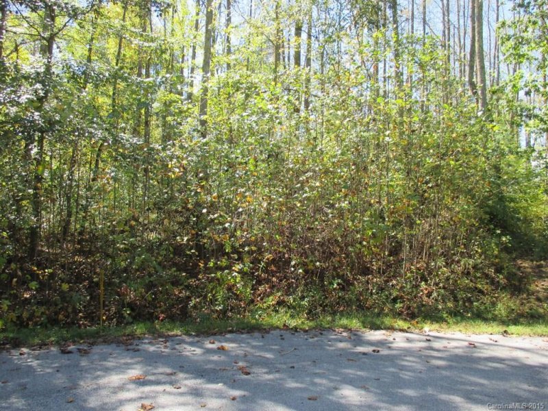 Property image 2 at 160 N Ridgeview Hill Drive, Hendersonville, NC 28792