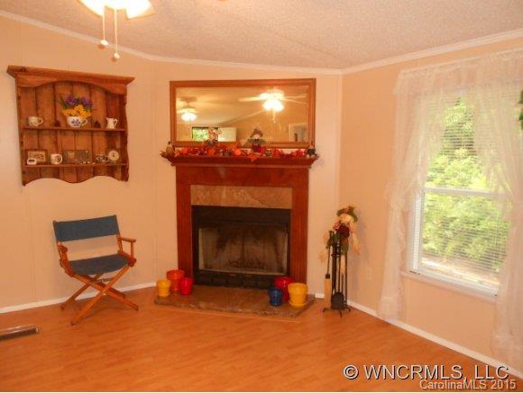 Property image 4 at 96 Turkey Pen Gap Lane, Horse Shoe, NC 28742
