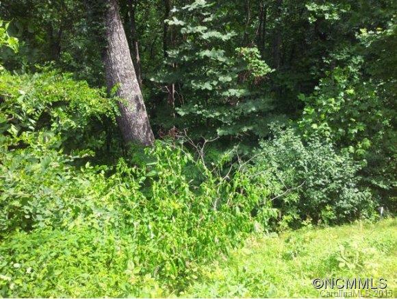 Property image 3 at 27 Windemere Lane, Leicester, NC 28748