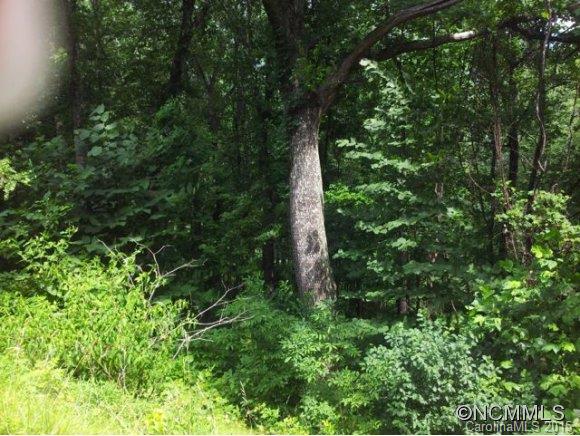 Property image 4 at 27 Windemere Lane, Leicester, NC 28748