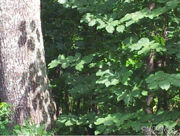 Property image 5 at 27 Windemere Lane, Leicester, NC 28748