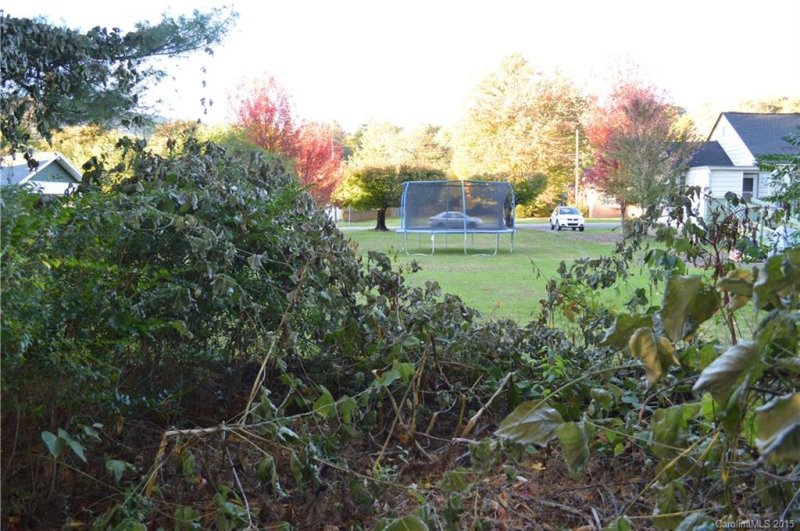 Property image 3 at 141 Hazelwood Avenue, Waynesville, NC 28786