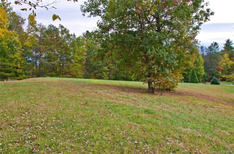 Property image 4 at 108 Ivy Meadows Drive, Weaverville, NC 28787