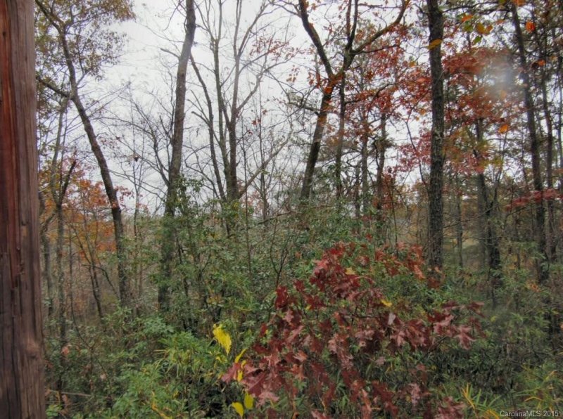 Property image 2 at Lot 10 Oak Laurel Road, Brevard, NC 28712