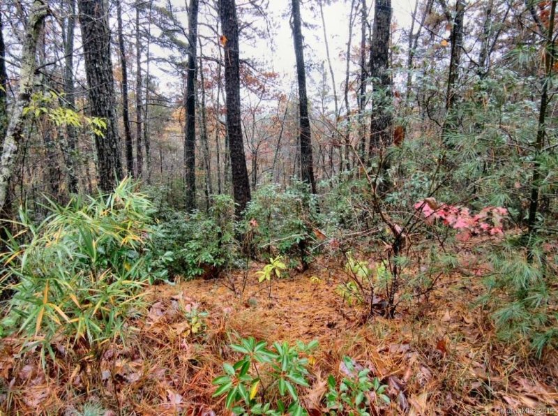 Property image 3 at Lot 10 Oak Laurel Road, Brevard, NC 28712