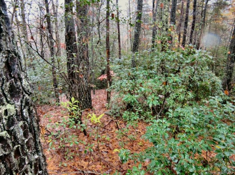Property image 5 at Lot 10 Oak Laurel Road, Brevard, NC 28712
