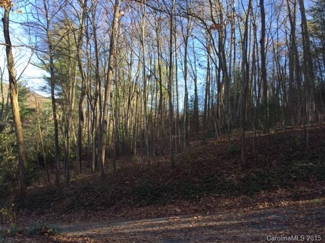 Property image 3 at 000 Chestnut Hill Loop, Gerton, NC 28735