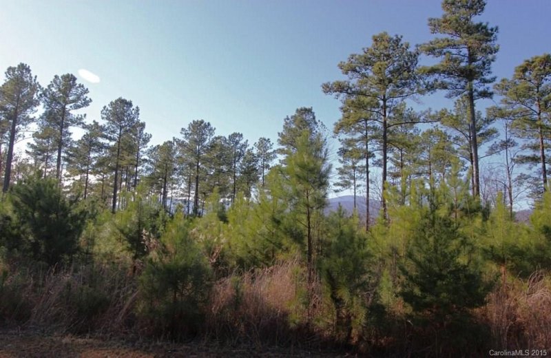 12 Woods Laurel Lane