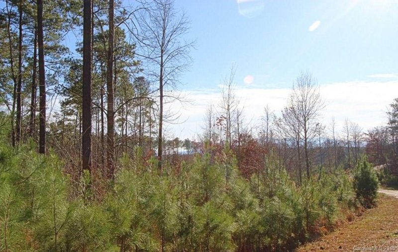 Property image 4 at 12 Woods Laurel Lane, Mill Spring, NC 28756