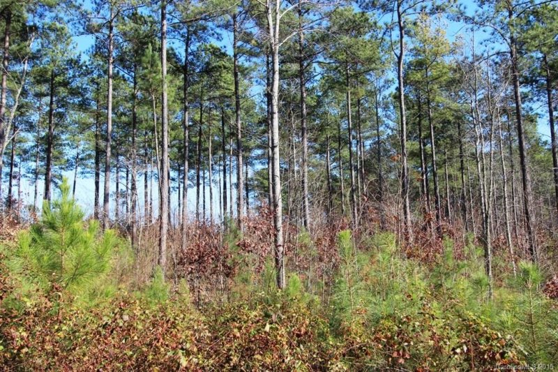 Property image 5 at 12 Woods Laurel Lane, Mill Spring, NC 28756