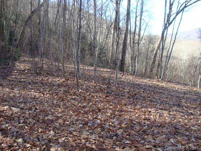 Property image 2 at 28 Henry Dingus Way, Maggie Valley, NC 28751