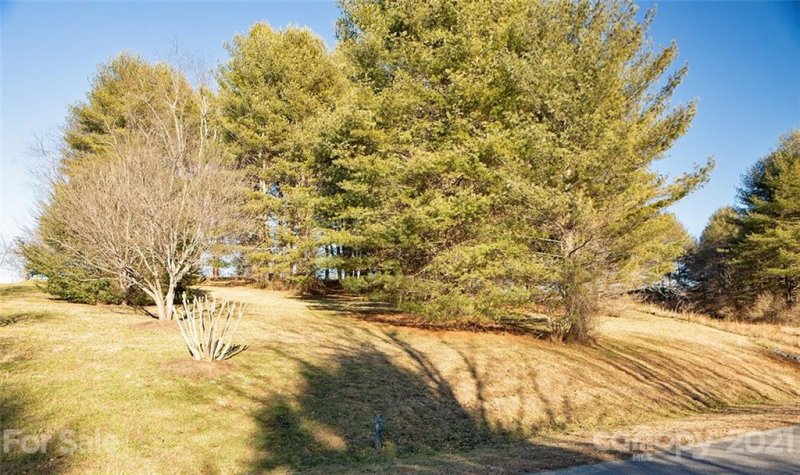 Property image 2 at 33 Dover Lane, Brevard, NC 28712