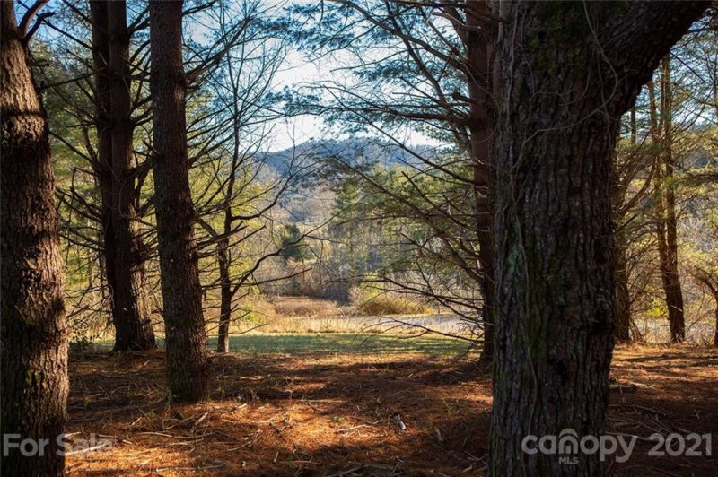 Property image 3 at 33 Dover Lane, Brevard, NC 28712