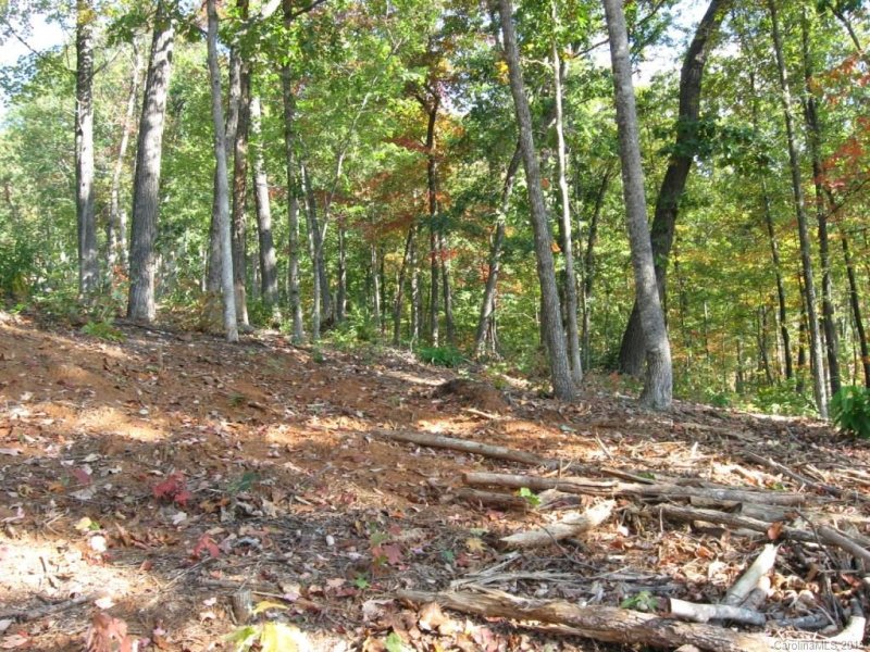 Lot 143 Devin Ridge Lane