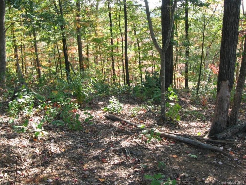 Property image 2 at Lot 143 Devin Ridge Lane, Union Mills, NC 28167