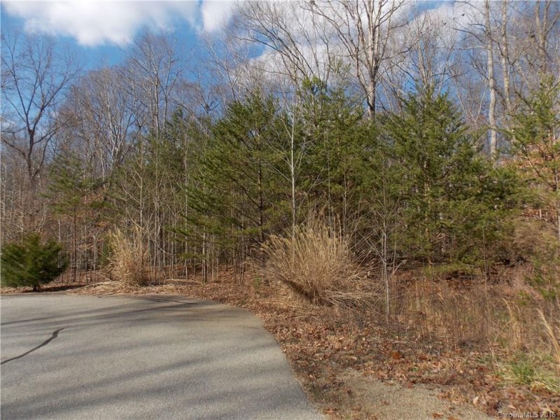 Property image 2 at Lot 17 Wolf Road, Iron Station, NC 28080