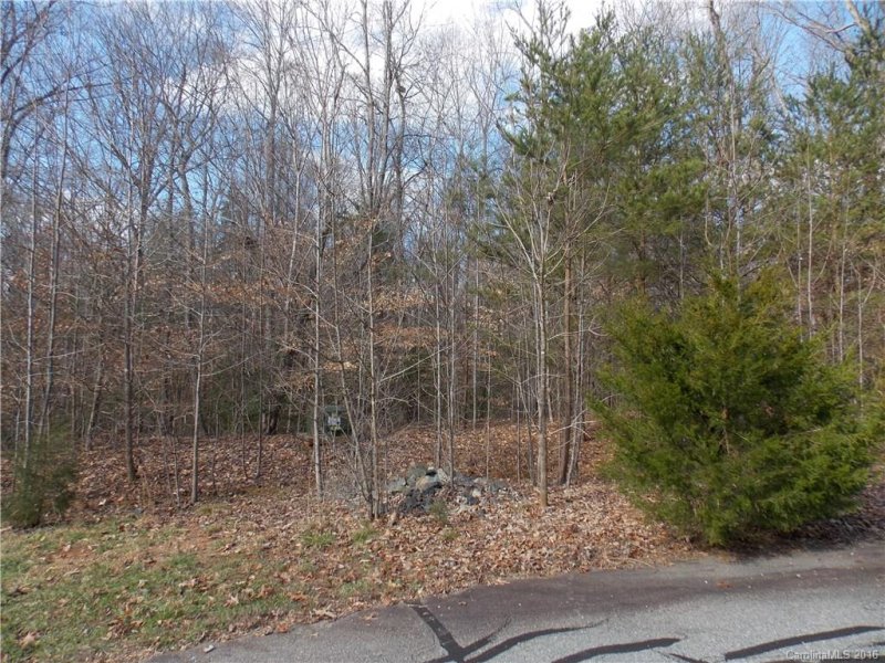 Property image 3 at Lot 17 Wolf Road, Iron Station, NC 28080