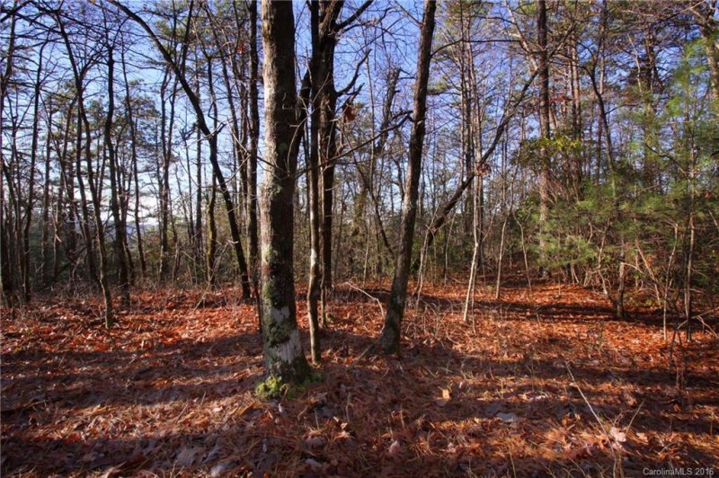 Lot 68 Oak Laurel Road