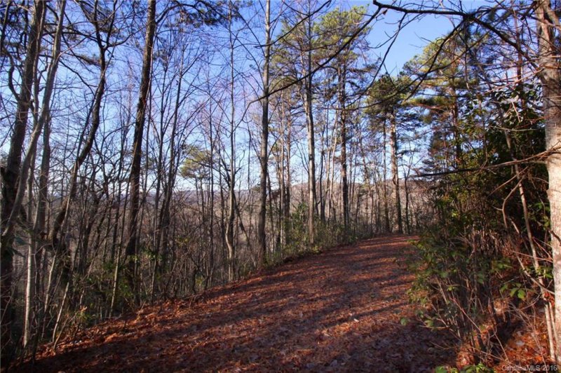 Property image 2 at Lot 68 Oak Laurel Road, Brevard, NC 28712