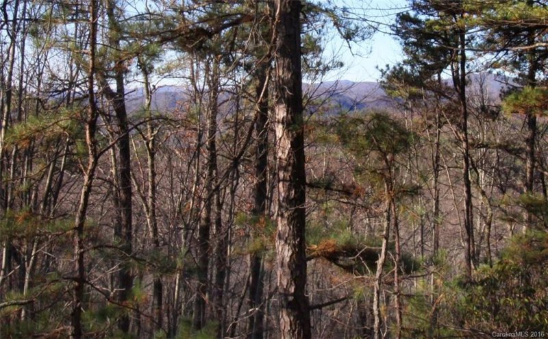 Property image 3 at Lot 68 Oak Laurel Road, Brevard, NC 28712