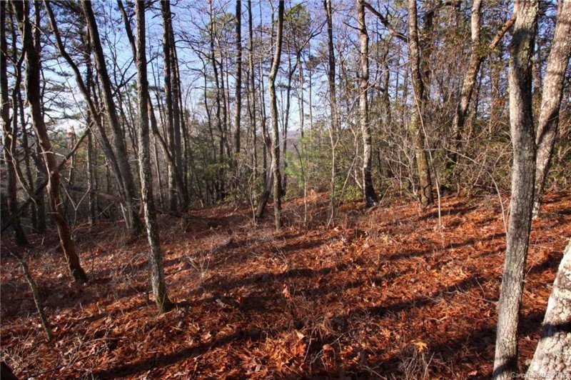Property image 5 at Lot 68 Oak Laurel Road, Brevard, NC 28712