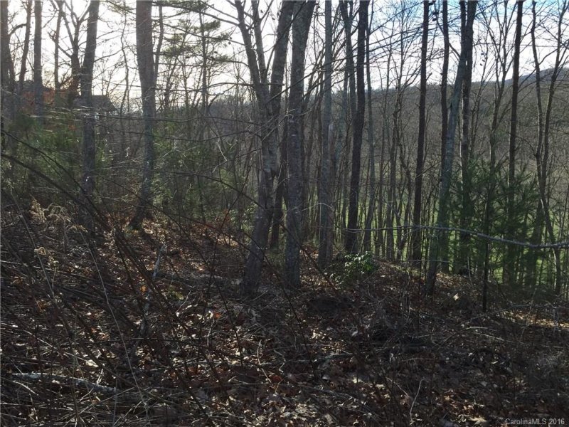 Property image 3 at 72 Bradford Vistas Drive, Fletcher, NC 28732