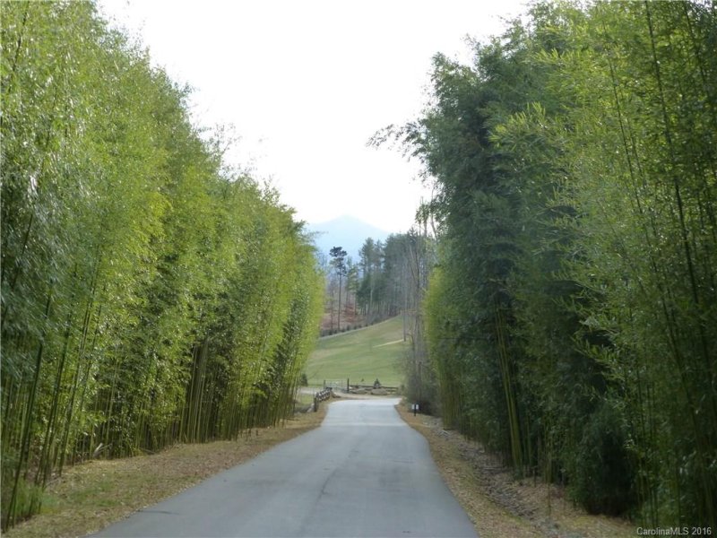 Property image 5 at 6 Christmas Tree Lane, Candler, NC 28715