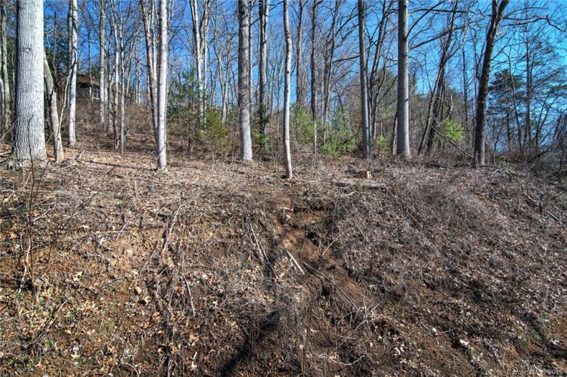 Property image 2 at 110 Buffalo Trail, Asheville, NC 28805