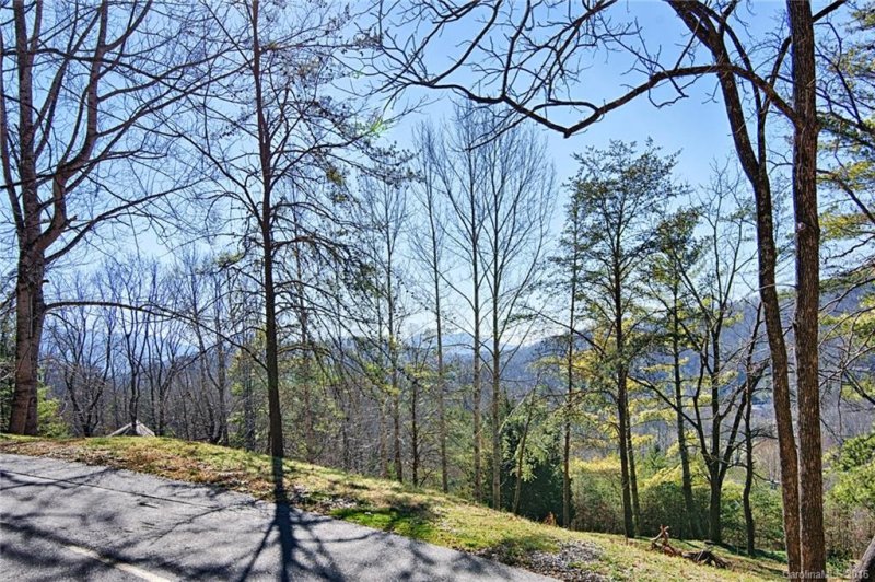 Property image 3 at 110 Buffalo Trail, Asheville, NC 28805