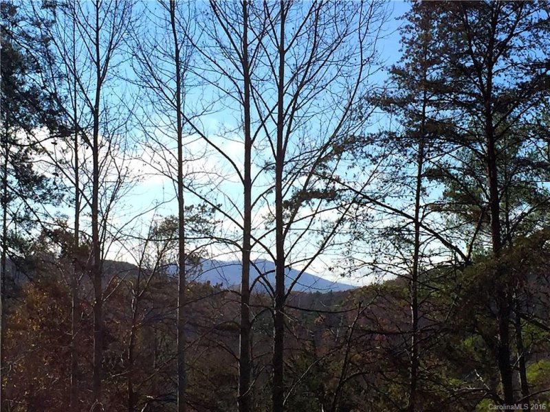 Property image 5 at 110 Buffalo Trail, Asheville, NC 28805