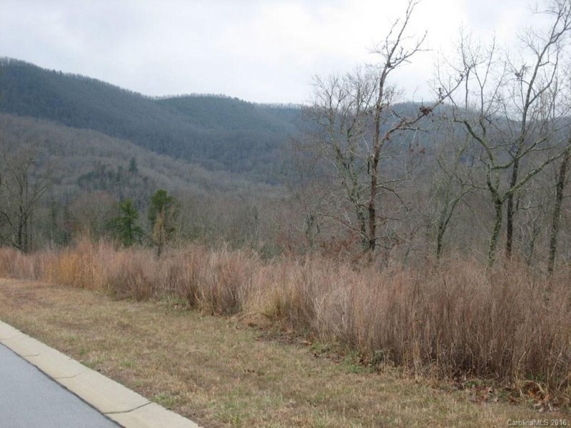 Property image 3 at 999 Watershed Way, Mills River, NC 28759